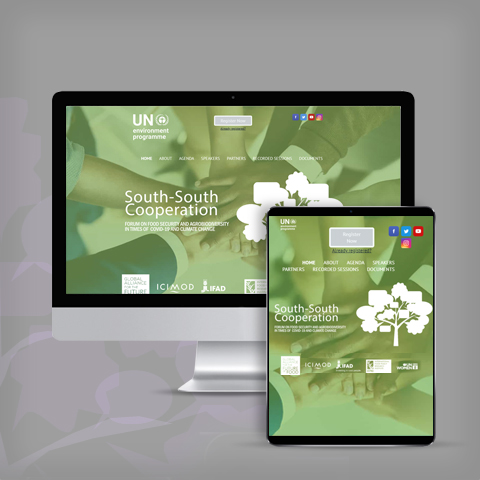 Custom Website Design Thumb1
