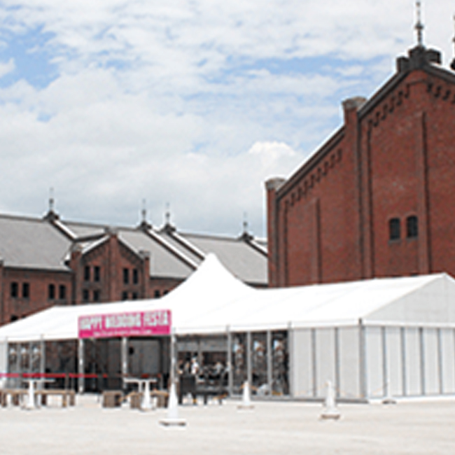 Omnidomeflex Slider1