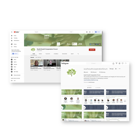 Social Media Plan Thumb4